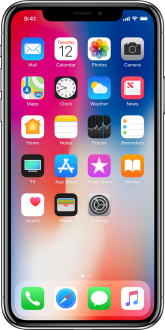 Apple iPhone X